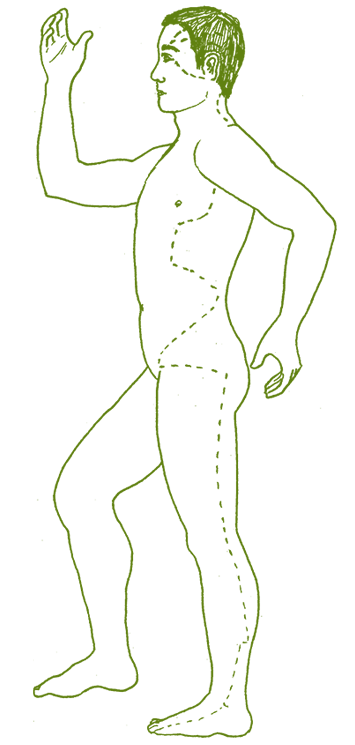 yoga gallbladder meridian 2